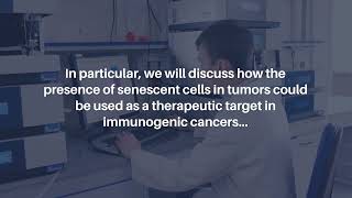 Senescent Cell Vaccines Immune Response Against Cancer amp Aging  AgingUS [upl. by Trix]