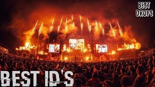 Best IDs Tomorrowland 2019 Dimitri Vegas amp Like Mike Steve Aoki WampW Tiesto KSHMR amp More [upl. by Stanislaw]