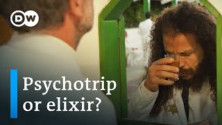 Ayahuasca boom in Brazil  Remedy or risk  DW Documentary [upl. by Letch]