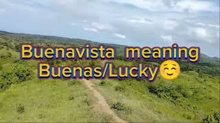 Lot for sale 1 hectare Buenavista Bohol Philippines 15m rush sale [upl. by Philender]