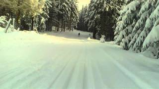 Skilanglauf Abfahrt in Oberhof [upl. by Car348]