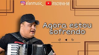 Agora estou sofrendo  Tarcísio do Acordeon  Áudio Live IG [upl. by Dreher887]