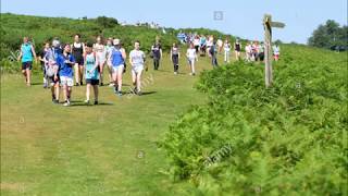 Mike Oldfield Hergest Ridge 2 Part [upl. by Pallua]