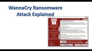 WannaCry Ransomware Explained [upl. by Joice]