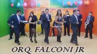 MIX Nuevo Orquesta Falconi Jr [upl. by Yrdnal210]