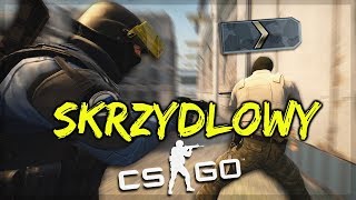 CSGO SKRZYDŁOWY  UCZĘ RANDOMOWEGO SILVERA 1 [upl. by Infield376]