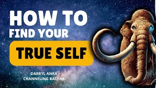 Bashars Guide to Aligning with Your True Self Through EXCITEMENT  Channeled by Darryl Anka [upl. by Hengel]