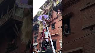 Gai Jatra 2081 BS viral clip [upl. by Evania844]