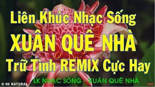 LK Nhạc Sống ll Xuân Quê Nhà ll Trữ Tình Remix Đậm Chất Quê Hương [upl. by Lunna]