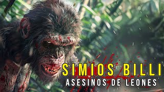 Simios bili  Los Asesinos de Leones  Criptozoologia [upl. by Notsreik]