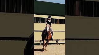 EverythingEquineofficial edit of one my fav equestrian YouTubers horse equestrian edit [upl. by Lasyrc40]