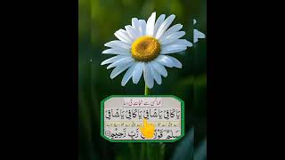 Khansi ki dua  duaa new quotes islam  shorts islamicvideo [upl. by Gladstone]