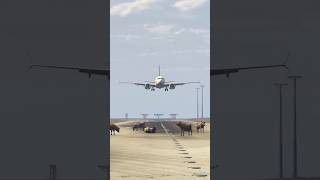 quotCows on the Runway Watch this Planes Emergency Takeoffquot [upl. by Romola]