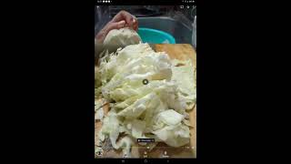 ASMR  CHOPPING AND SLICING CABBAGE [upl. by Damal70]