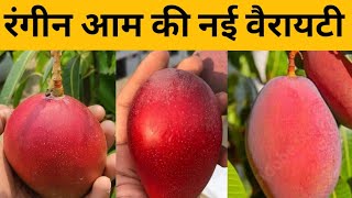 Most Expensive MangoMost Expensive Mango [upl. by Scuram]