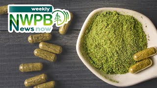 A Closer Look at Kratom and Efforts to Improve Behavioral Health in Washington November 15 2024 [upl. by Adnara634]