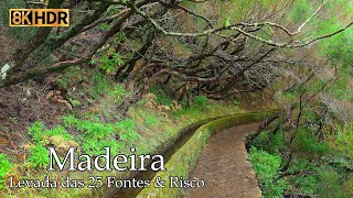 Levada das 25 Fontes Levada do Risco  Madeira  Portugal 8K [upl. by Aiynat]