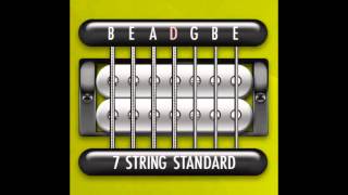 Perfect Guitar Tuner 7 String Standard  B E A D G B E [upl. by Nonie]