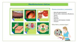 Blastocystis hominis [upl. by Aleahc]