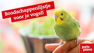 Vogel kopen en vogelkooi inrichten wat heb je nodig [upl. by Katrine]