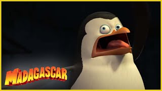 DreamWorks Madagascar en Español Latino  Los líos de los chicos  Los Pingüinos de Madagascar [upl. by Long444]