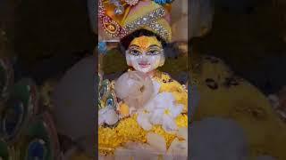 hare Krishna Hara rama ❤️😌 shorts laddu viral [upl. by Eeram]