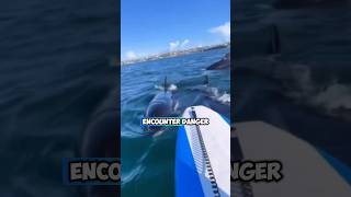 Killer Whales Dont Like Canoes [upl. by Gittle]