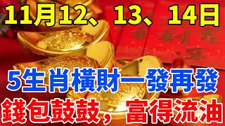 土地公送財了！11月12、13、14日！這5大生肖橫財一發再發，大筆錢財入賬，錢包鼓鼓，暴富指日可待！【禪定自在】生肖 運勢 命理 屬相 風水 [upl. by Neeron]