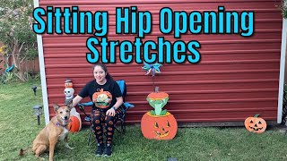 Sitting Hip Opening Stretches [upl. by Enytsirk]