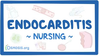 Endocarditis Clinical Nursing Care [upl. by Neibart]