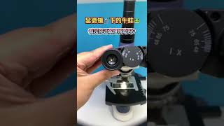 Do you like to eat bullfrogs Microscopic world Popular science Microscope Bullfrog Health [upl. by Iy]