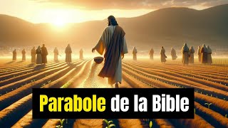 Les 15 Paraboles les Plus Fascinantes de la Bible  Paraboles du Christ [upl. by Gitt]