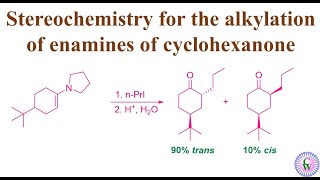 Stereochemistry for the alkylation of enamines of cyclohexanone [upl. by Nirehs]