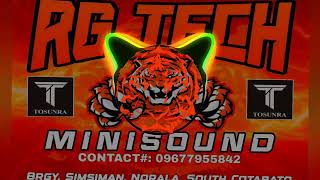 Ilonggo Reggaeton PaSlow Remix  RGTech Minisound Dj Renz Remix [upl. by Geller995]