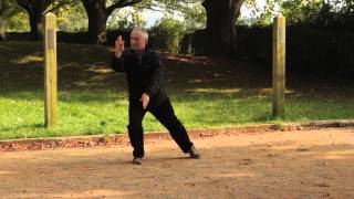 Wu Style tai chi Long Form by Michael W Acton [upl. by Adnat350]