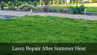 How We Revived Our Lawn After a Hot Summer  StepbyStep Grass Reseeding [upl. by Mixie918]