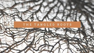 The Tangled Roots [upl. by Nikolos]