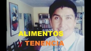 Proceso judicial de Alimentos y Tenencia Alimentos en el código procesal civil peruano italcorp [upl. by Caughey]