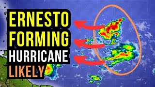 Hurricane and Tropical Storm Impacts [upl. by Rudolf]