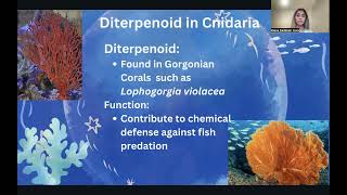 The Anticancer Potential of Phylum Porifera Cnidaria and Chordata [upl. by Magdalen]