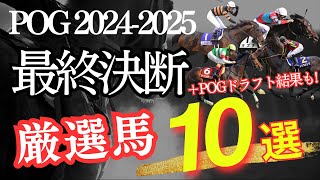 【POG】POG20242025「最終決断！厳選馬10頭」「ドラフト結果発表」【競馬】 [upl. by Gievlos580]