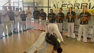 Viva Zumbi  Alforria Capoeira [upl. by Anastasius]