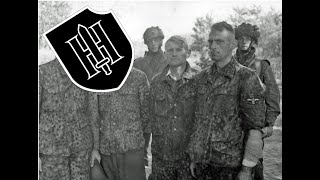 9 SSPanzerDivision Hohenstaufen  episode 9 all waffenSS divisions [upl. by Adnarahs583]