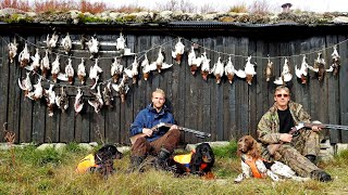 Rypejakt i Rypas Rike 2 Grouse Hunting  Ptarmigan Hunting  Lagopus [upl. by Croydon]