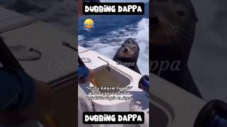 Perusaa edu da 🤣 funny shorts comedy shortsfeed funnyanimal petcomedy dog seadogs dogs [upl. by Enylorac]