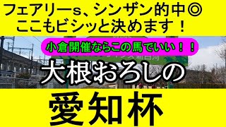 愛知杯2023のデータから導き出した最終予想【競馬予想】 [upl. by Uhayile]