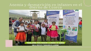 EF REALIDAD NACIONAL PROBLEMATICA EN EL DISTRITO DE CCORCA ANEMIA Y DESNUTRICIÓN INFANTIL [upl. by Leunamnauj716]