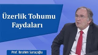 Üzerlik Tohumu Faydaları  İbrahim Saraçoğlu [upl. by Elfont]