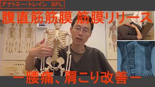 アナトミー・トレイン ＳＦＬ 腹直筋筋膜、筋膜リリース －腰痛、肩こり改善－ [upl. by Eldreeda400]