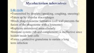 video lecture mycobacteria [upl. by Isawk399]